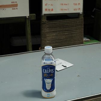 帰りの焼岳小屋にて

行きに立ち寄った時に見つけておいたカルピスをググっといただきましたちょっと冷えてる💦

帰りもゆっくり上高地散策何て思ってたけど
とうにそんな思いはついえているのでありました😭

