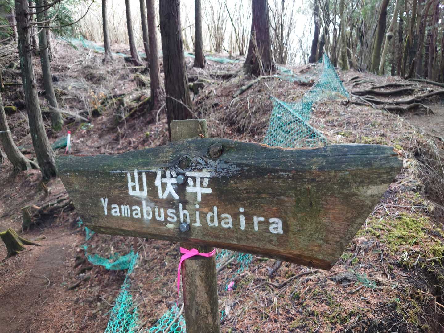 矢倉沢登山口-矢倉岳-山伏平-万葉公園バス停-足柄峠-地蔵 縦走コースの写真