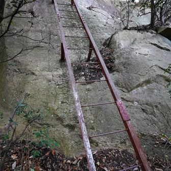 長い梯子を下りて。