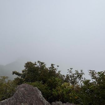 ひえーだめだー
