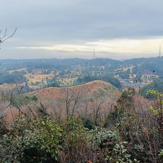 景色もまずまず。