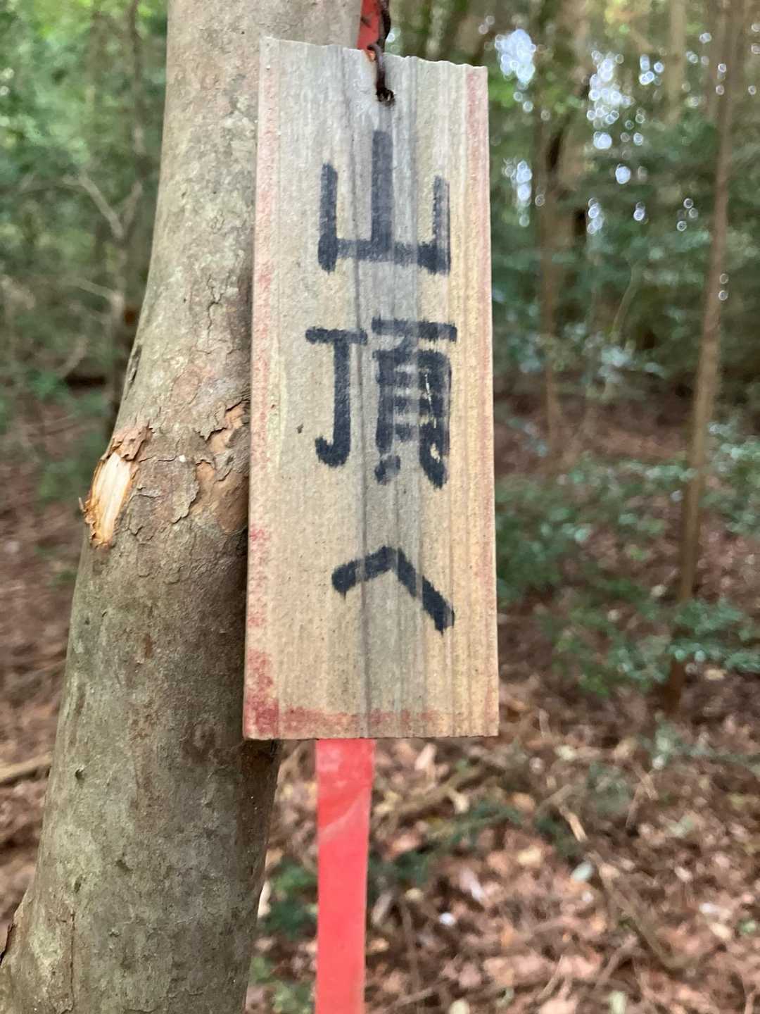 登山口駅-箸蔵寺-箸蔵山-箸蔵寺駅 往復コースの写真