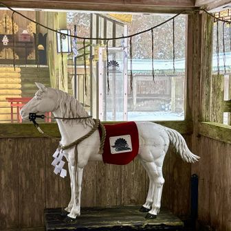 綺麗なお馬さんです🎠