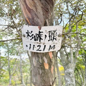 本日二座目、鈴鹿３００座・杉峠の頭