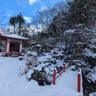 雪景色花見山⛄️