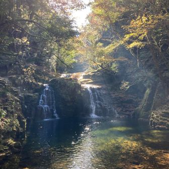 ここまで来て分岐に戻って昼食を取り、長坂山の登山口へ向かいました。
