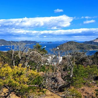 樋ノ山に向かってます。振り返って～いい道です！