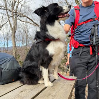 途中、可愛い子ちゃんに😍会いました
この前後に神奈川県警の方も訓練かな？？
たくさん登って来ました