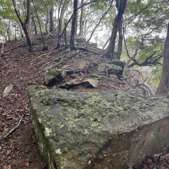 このルートは岩🪨が沢山ありました。
