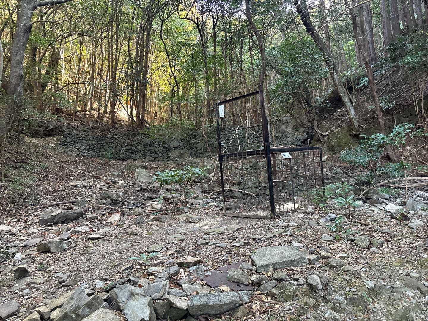 登山道脇に