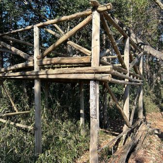 途中の見晴らしの良いところに要害展望台というものが作られていますが、ここに登るとかえって木が邪魔になり景色がよく見えなくなります。