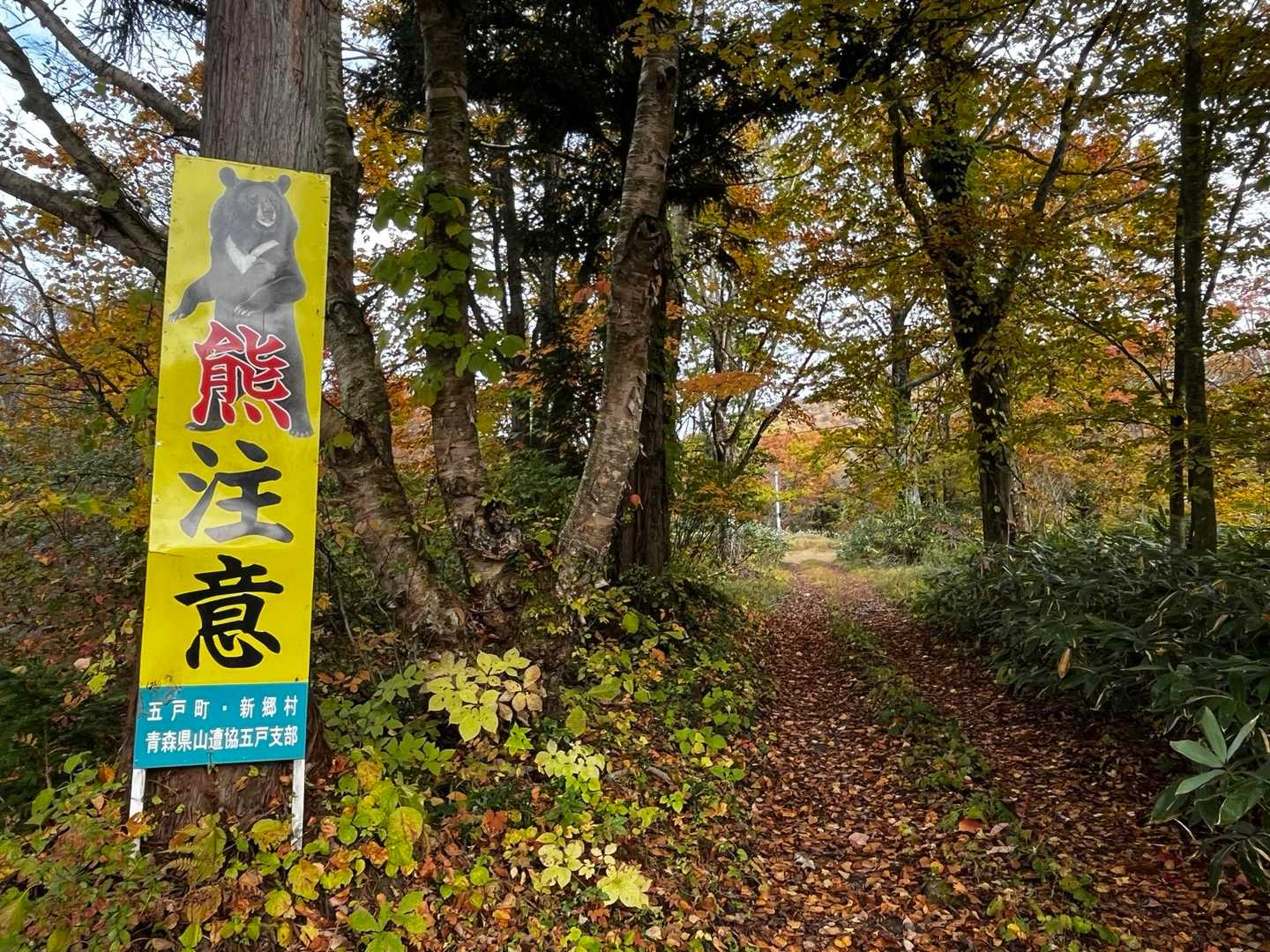 早くも熊登場。笑