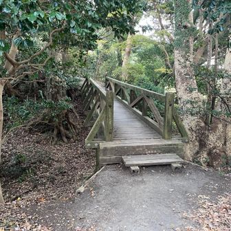 キレットに橋😅