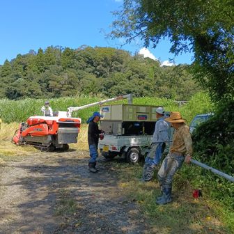 半分くらい終わったところで、コンバインにたまった籾を一度運搬車に移します。