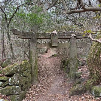 作礼山東峰の入口に鳥居。