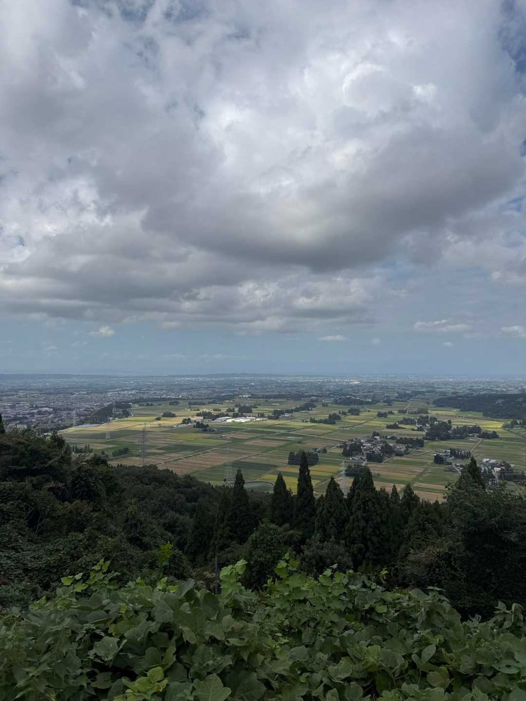 風の塔より