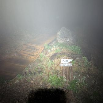 寒い。霧雨