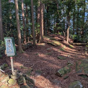 便石山登頂！眺望はないですが、、