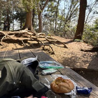カレーポテトパンをお昼にパクり