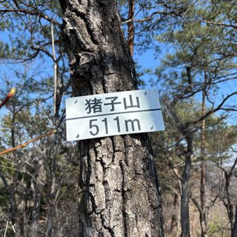 最後の第6ピーク達成✌️