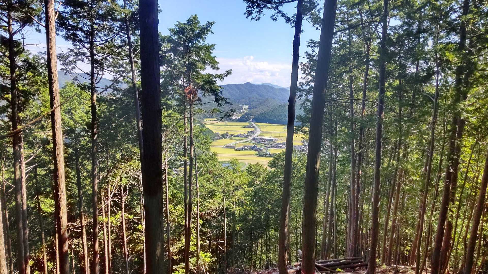 展望台に立ち、木々のスキマから絶妙に見える景色を堪能💕