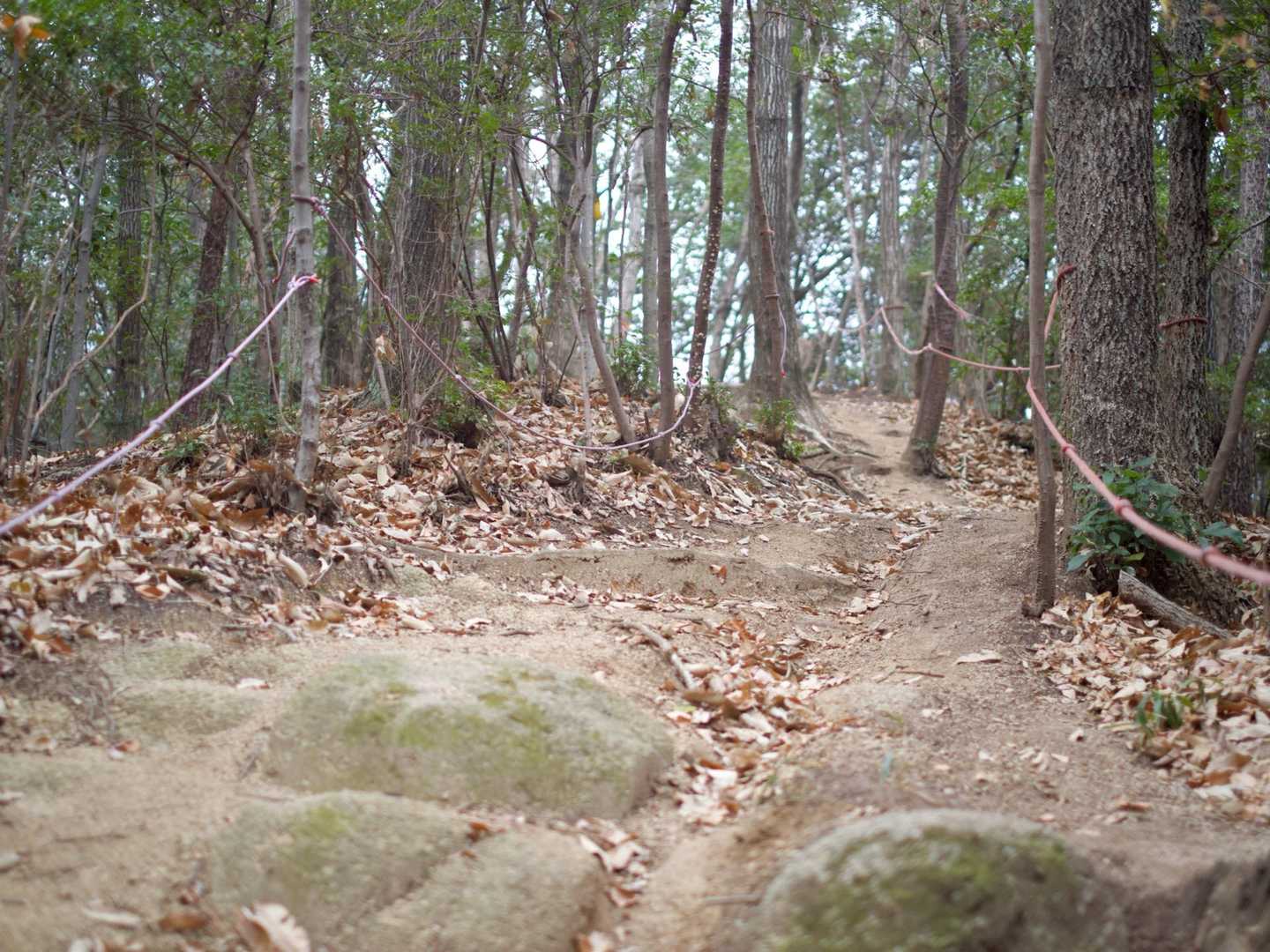 少し急登になるとロープがあります。
山を好きになってもらいたい。何度も遊びに来て欲しい。という管理されている方々の想いを感じます。本当にありがたいです。