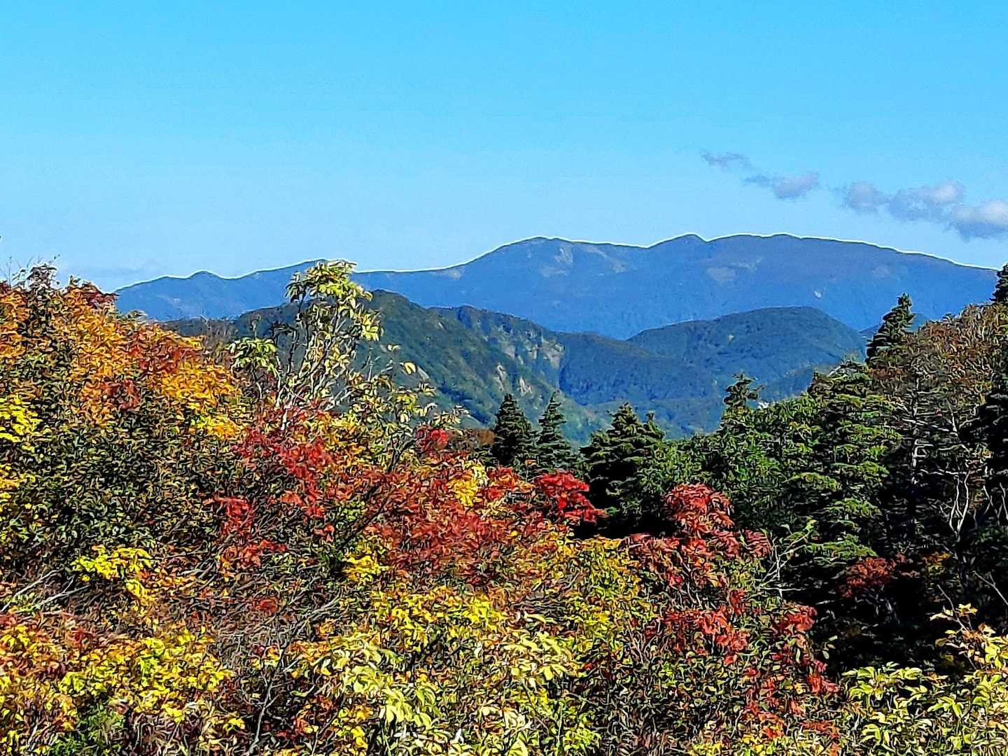 焼石岳も素晴らしいんだろうなぁ🍁