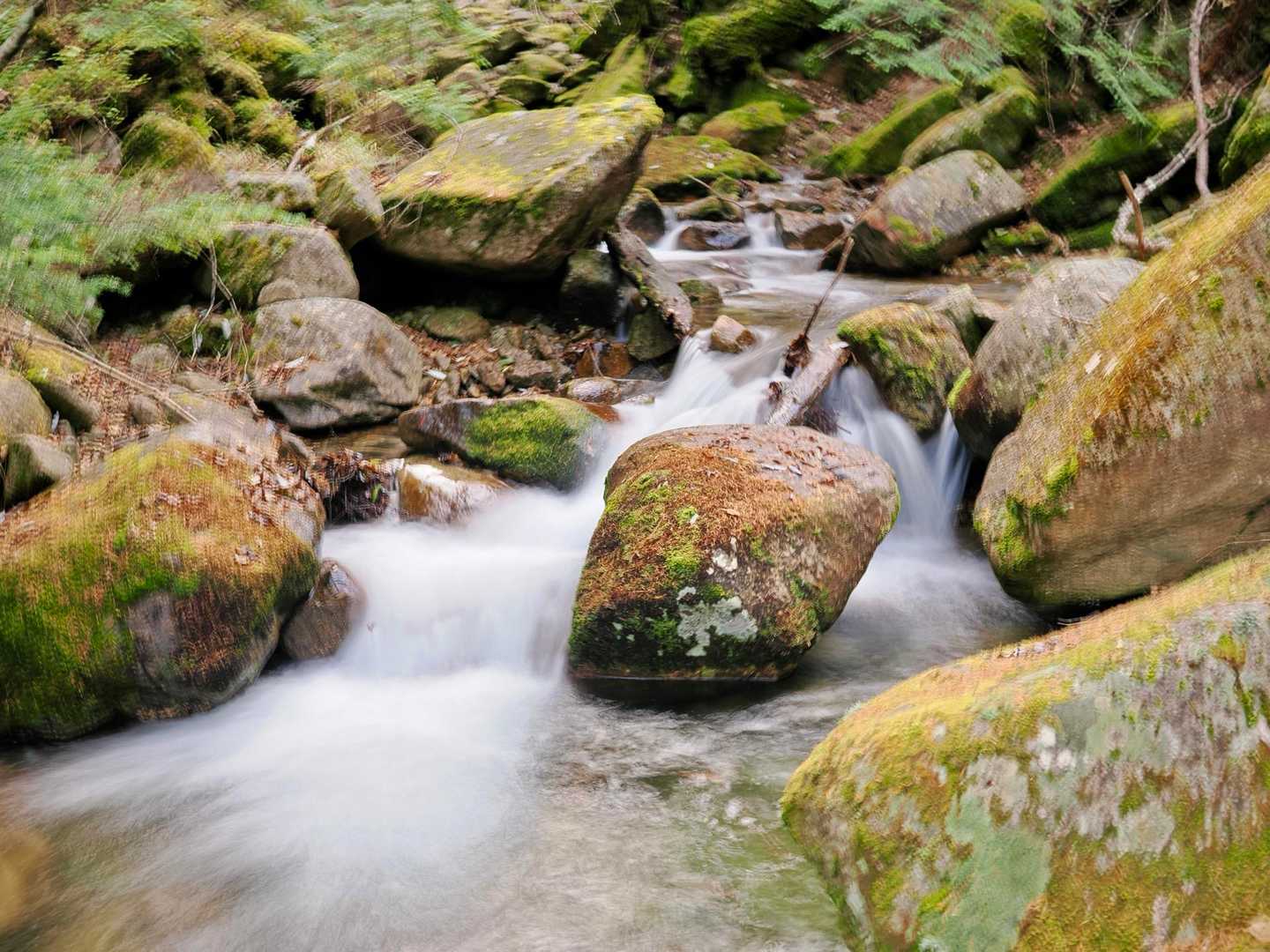 毛木平-千曲川信濃川水源地-甲武信ヶ岳-三宝山 周回コースの写真