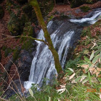 金山滝
何時見ても好きな滝です。