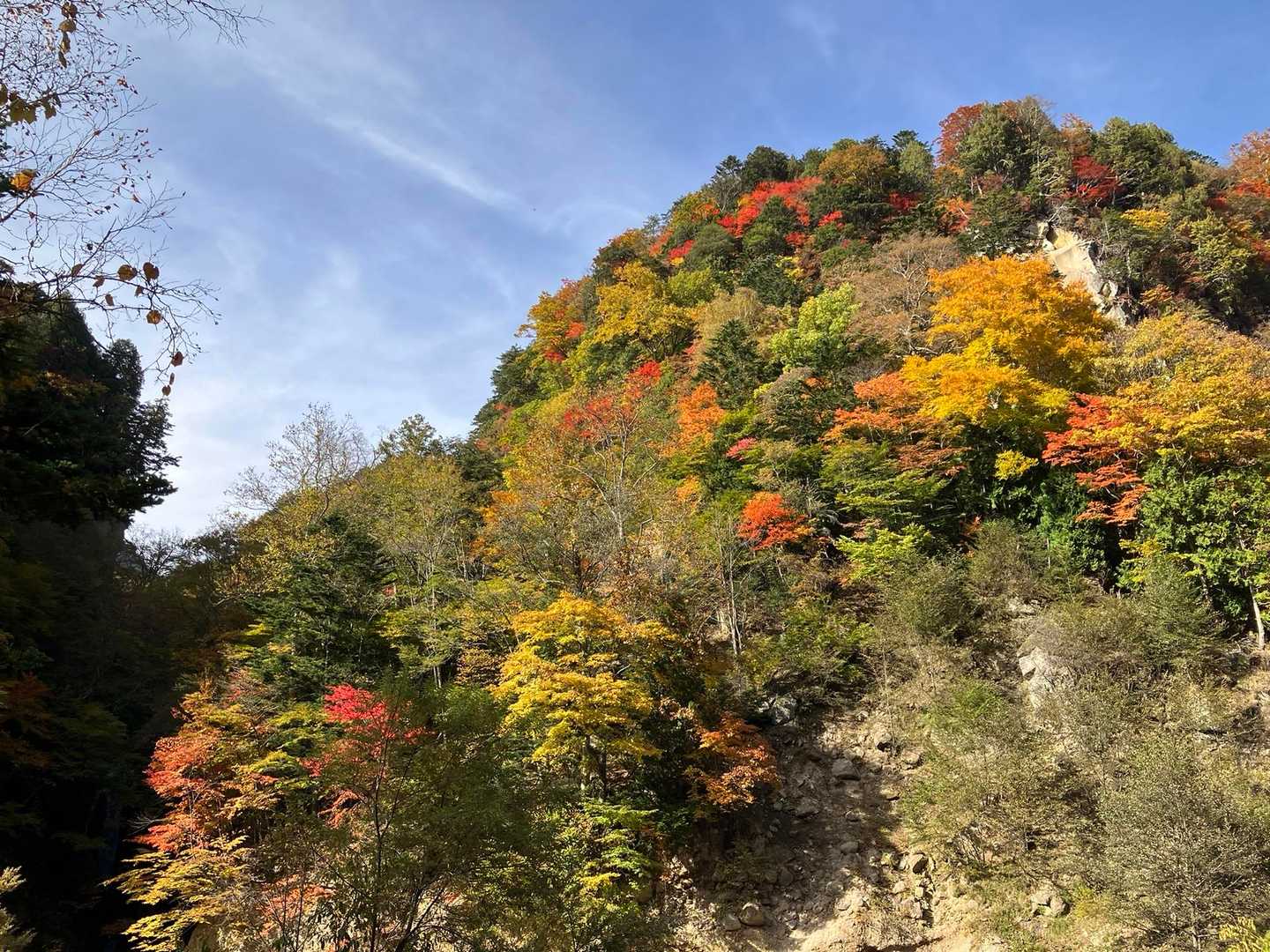 露天風呂から眺めていた岩山。紅葉で山が彩られています👍