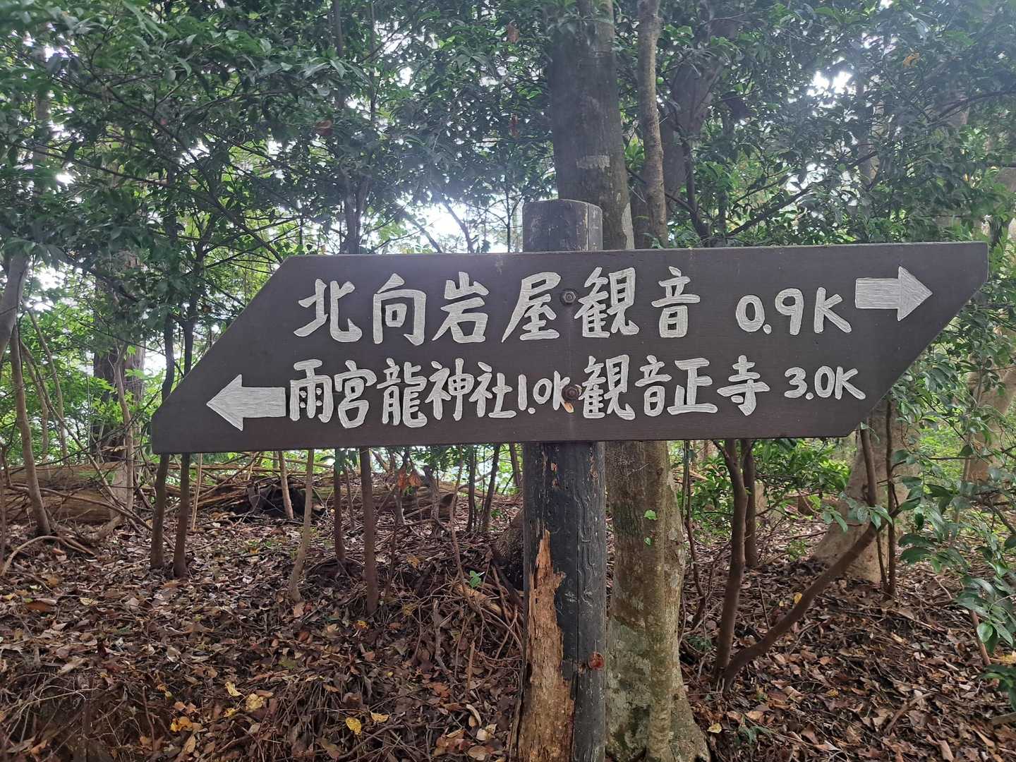 分岐は雨宮龍神社へ