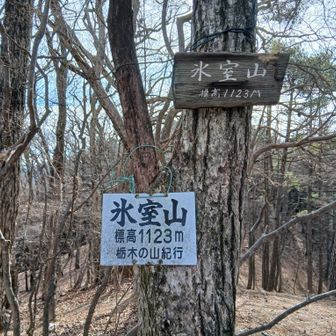氷室山についた　BOΦWY の頃から氷室京介さんが大好きでソロになってからもラストライブまでに何度も聞きに行ってたのでなんか感慨深い　感慨深過ぎてここでメシは食えないと思いもう少し先に進む