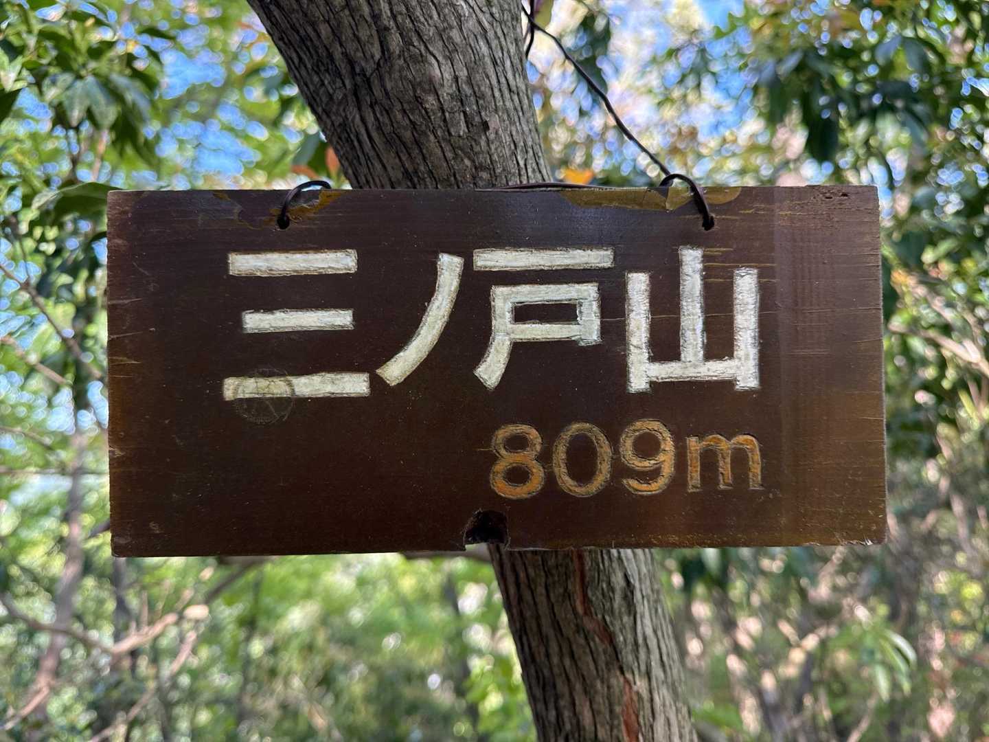 三ノ戸山登頂809m