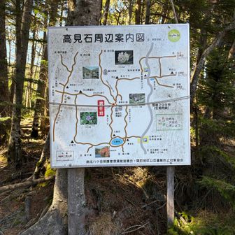 ここまでのくだりの石道が辛かった