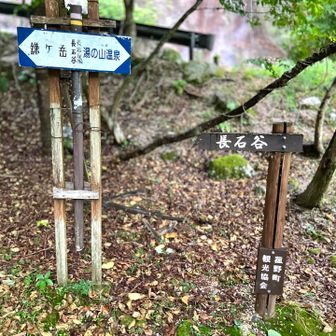 長石谷へ❗️
雨が降り始めたが花が見たいのでスタートします▶️☂️