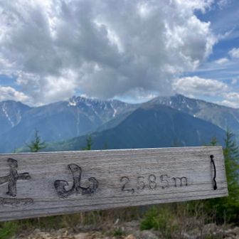 辻山　登頂〜