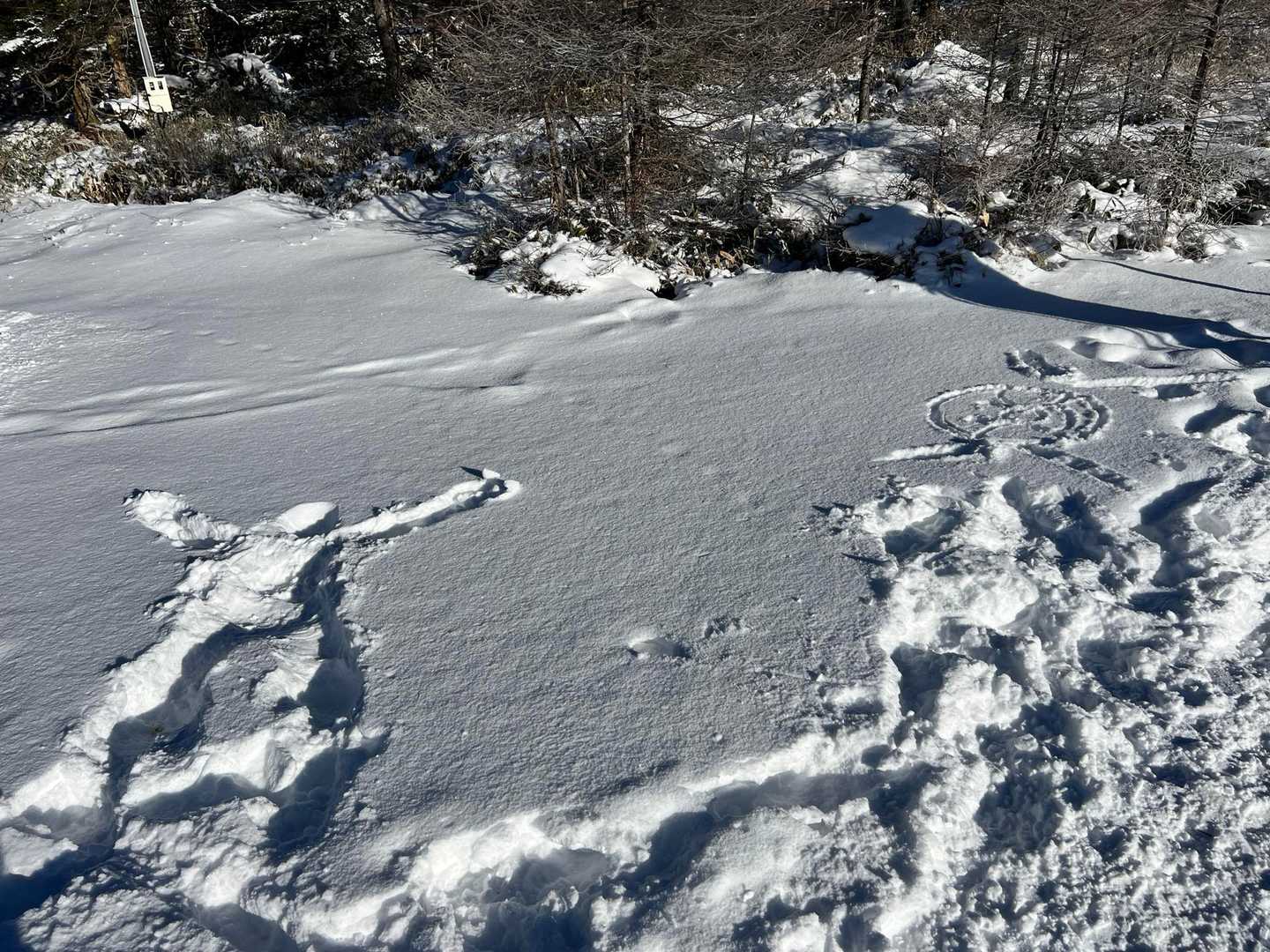 すると！！目に飛び込みました‼️笑
