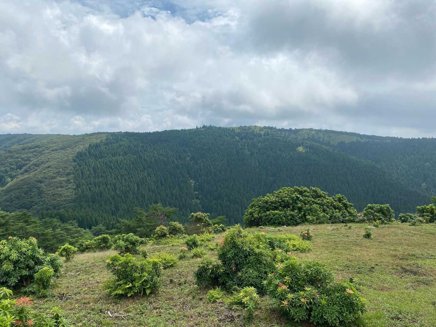 千町峠-段ヶ峰-杉山 往復コースの写真