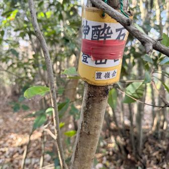 登山口らしい。