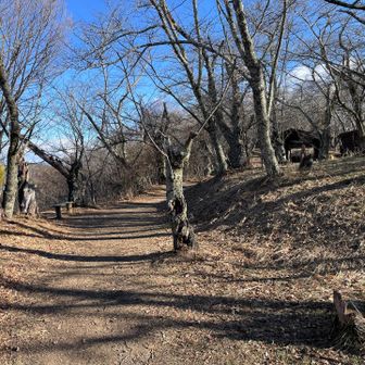 春になれば桜が綺麗な広場🌸