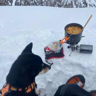 雪見ランチよー
冬はコレコレ♪

(ゆ)熱々で辛辛で、温まりそうやね
　　はよ帰ろ、寒いっ！