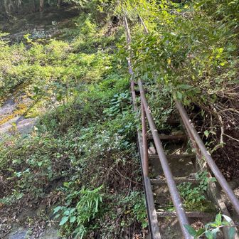 この階段、どこに続いているのか気になります。
