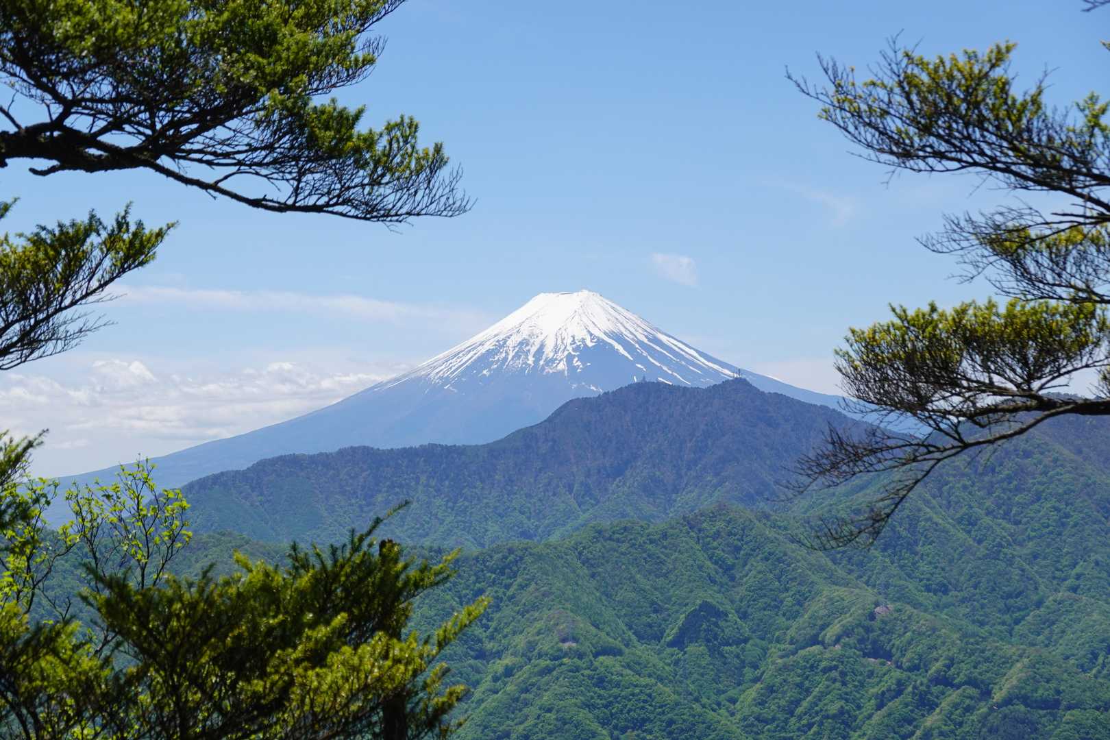 山頂手前の岩の上から富士山と南アルプスの素晴らしい眺望。