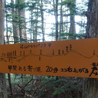 帰りには辻山に寄りました。