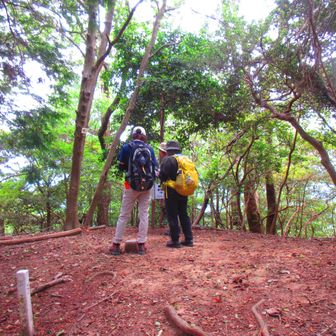 伊勢山山頂
