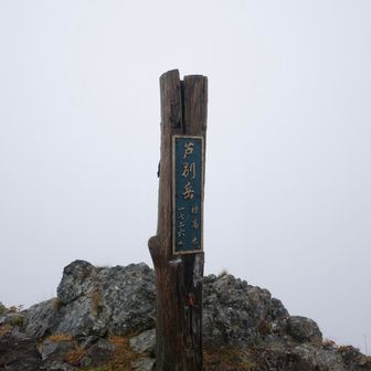 山頂に到着。雨が強まり寒くなってきたので、早々に退散。