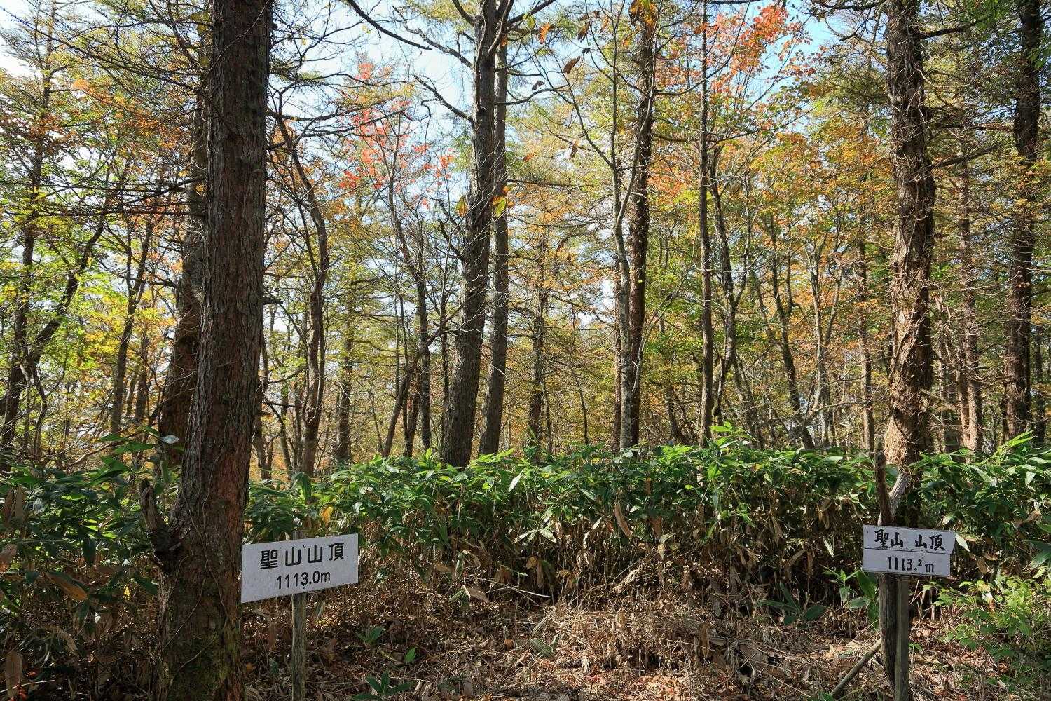 「聖山」山頂　1,113ｍ
この奥に岩場の展望所が以前あったそうです