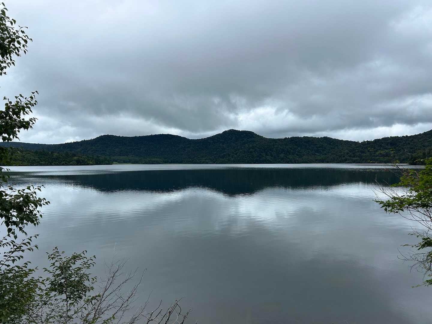 沼に映るお山⛰️🌱