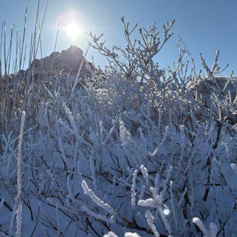 ケルンを見上げて