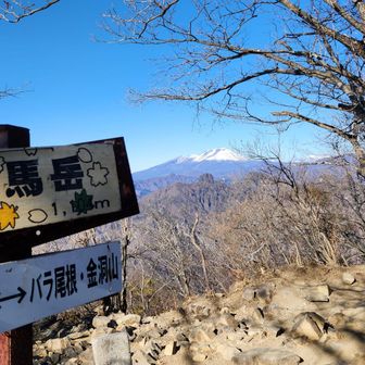 相馬岳山頂
写真を撮り過ぎて、バッテリー残量28%
バラ尾根からは写真は少なめで普通に歩きました。